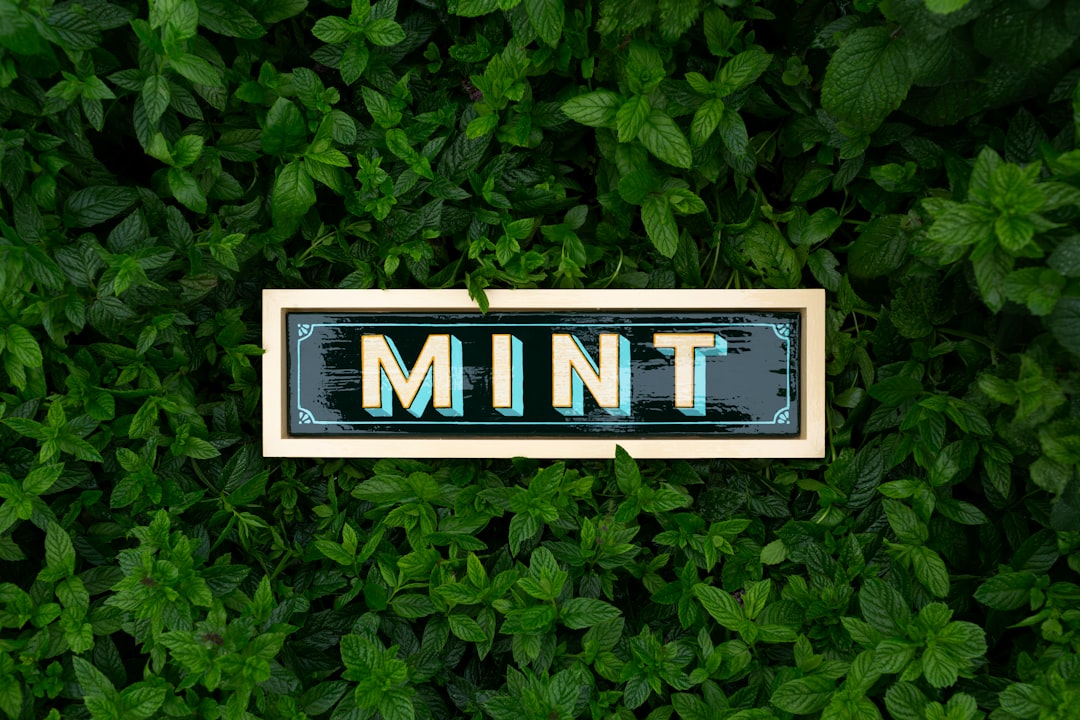 Why Branded Mint Dispensers Outlast Business Cards at Events