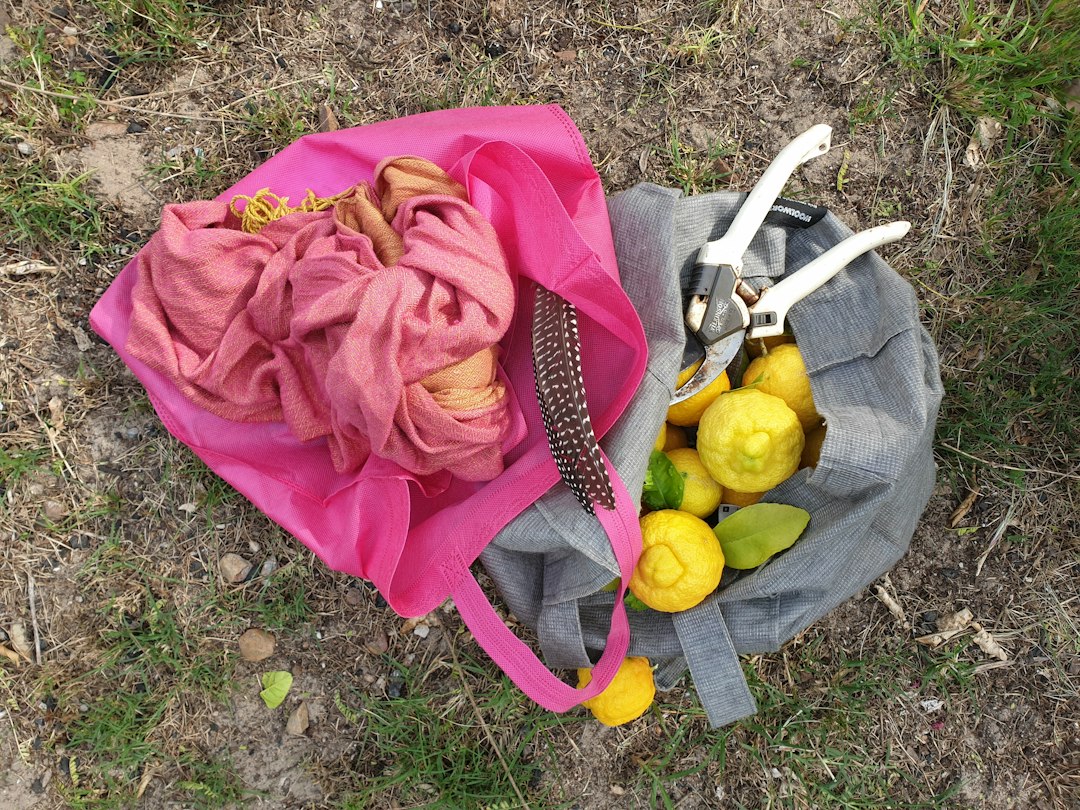 a person lying on the ground with a bag of fruit