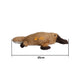 Custom Platypus Plush Toy - Custom Promotional Product