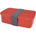Seasons Dovi 800 ml Lunch Box - A red lunch box with a grey strap, featuring a rectangular shape and a solid lid. It has a branding logo.