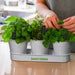 Keepsake Herb Planter - Custom Promotional Product