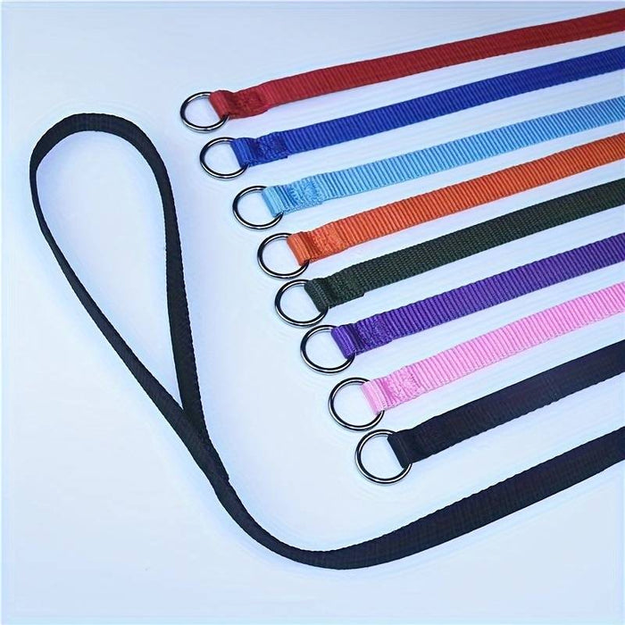 Economy Dog Slip Leads - 2.0cm Wide - Custom Promotional Product