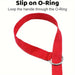 Economy Dog Slip Leads - 2.5cm wide - Custom Promotional Product