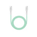 100W Fast Charging Cable - A mint green 100W fast charging cable with white connectors, featuring a logo on the connectors.