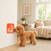 4-Section Dog Enrichment Lick Mat - An orange 4-section dog enrichment lick mat is attached to a wall, with a dog nearby in a cozy living room setting.