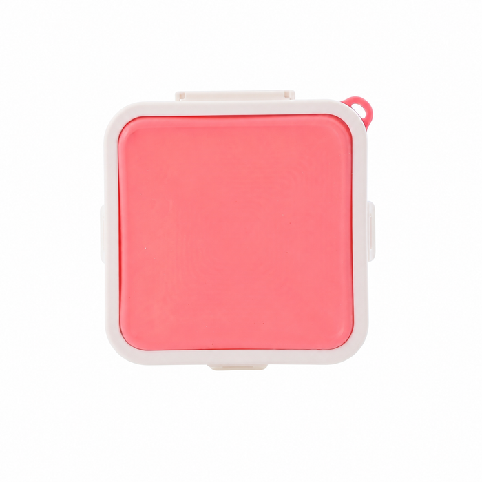 All-Silicone Food Container
