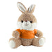 Peter Rabbit Plush - Custom Promotional Product