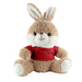 Peter Rabbit Plush - Custom Promotional Product