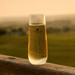 Stemless Shatterproof Champagne Glass - Custom Promotional Product