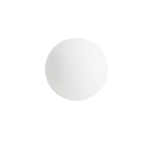 Lacrosse Ball - A white lacrosse ball with a smooth surface, featuring a logo on one side.