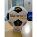 Mini Soccer Balls - Custom Promotional Product