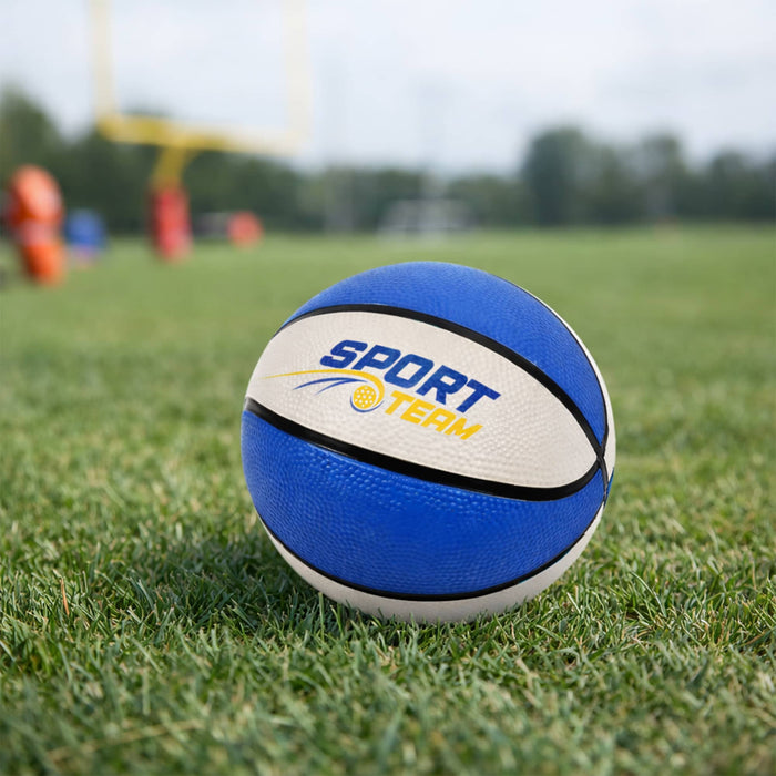 Mini Promotional Basketball - A mini basketball in blue and white resting on green grass, featuring a logo.
