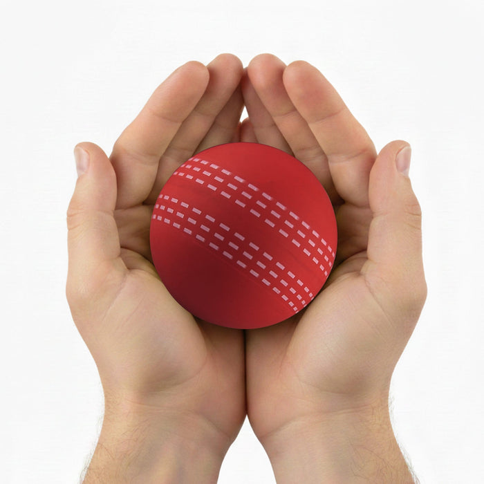 High Bounce Cricket Ball - A red cricket ball held gently in two hands, featuring distinctive seam markings. The image has a logo.