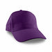 Flexi Cap - A purple cap with a structured front and curved brim, featuring a logo on the side.