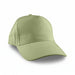 Flexi Cap - A green cap with a curved brim and adjustable back, featuring a logo on the front.