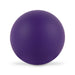 The Game Day Pack - A purple Hi Bounce Ball with a smooth surface.