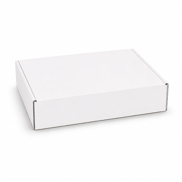 Custom Box with Locking Lid 290 x 175 x 60mm - A white custom box with a locking lid, measuring 290 x 175 x 60mm, featuring a simple design.