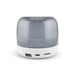 Dazzle RGB Speaker - A Dazzle RGB Speaker in grey with a white base, featuring USB, Type-C, and TF card ports.