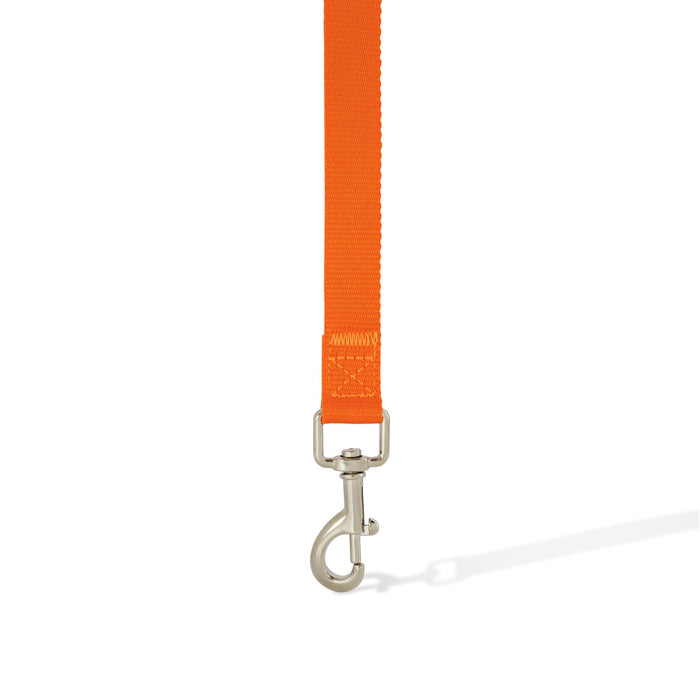 Printed Dog Lead - An orange dog lead with a silver metal clip, featuring a durable nylon strap.