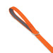 Printed Dog Lead - An orange dog lead with a grey underside and a metal ring attached.