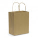 Paper Carry Bag - Medium