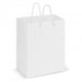 Laminated Carry Bag - Medium