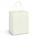 Large Paper Carry Bag - Full Colour Print