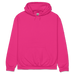 Gildan Hooded Sweatshirt