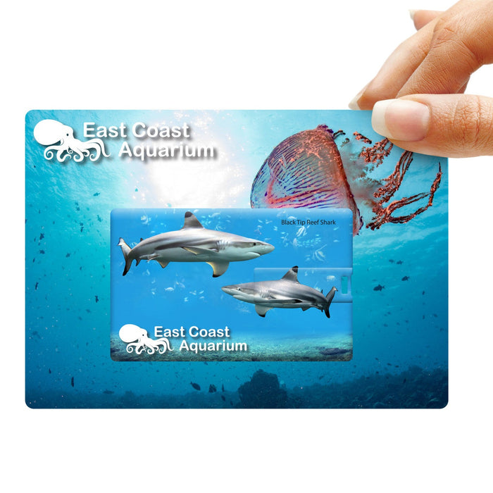 Credit Card Flash Drive - 4GB